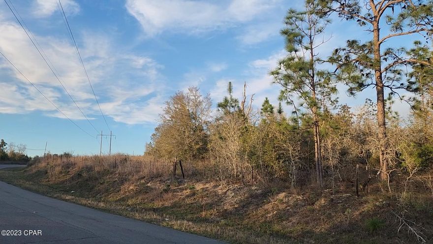 Entered for Comp Purposes Only