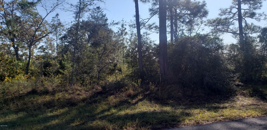 Nice wooded .38 +/- acre lot in Sunny Hills. This larger lot would be perfect for your new home. Lots are restricted to homes only, no mobiles. Several fishing spots are in the area. Not far from Boat Lake for seasonal swimming and covered area for gatherings. Approx. 35 miles from Panama City, 20 miles from Chipley.
