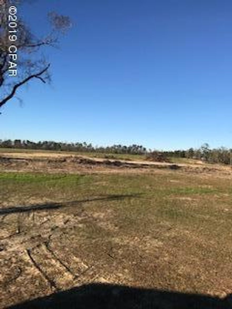 Welcome to peaceful country living!  This gorgeous 20 acre piece boasts multiple spots for you to build your new home.  Property is mostly cleared and could be used for farm land also.  Lots of various wildlife can be find here.  Call for your personal viewing today!!