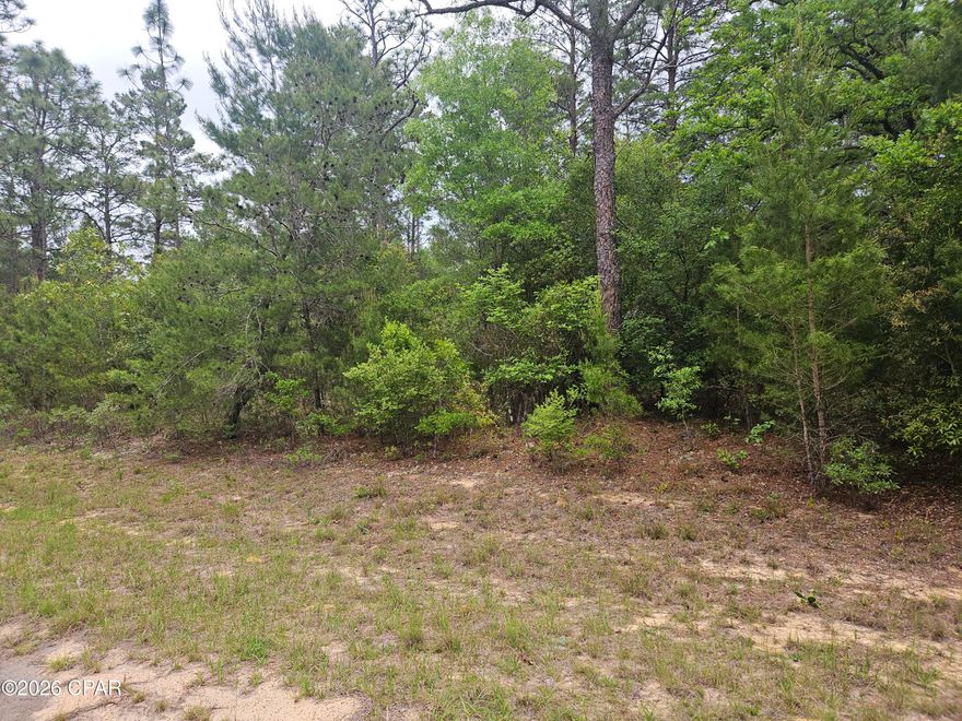 This flat lot is about 2 blocks to acreage owned by the Washington County School District. It is ready for your new home in the growing community of Sunny Hills which includes the wonderful 18-hole Sunny Hills Golf & Country Club.