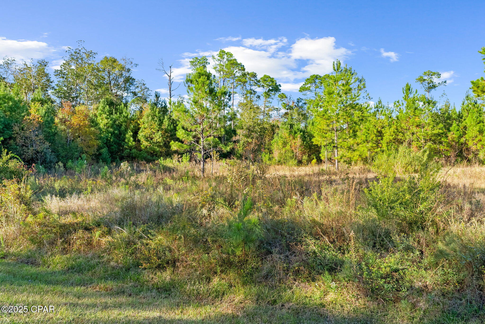 Red Bull Island - Land