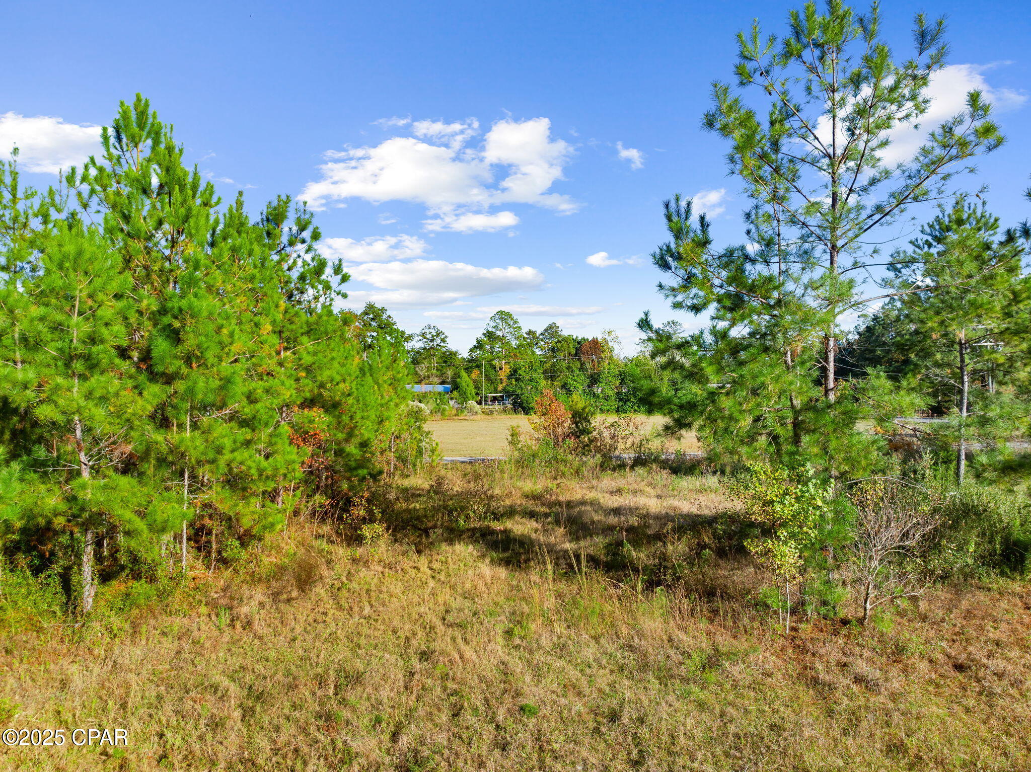 Red Bull Island - Land
