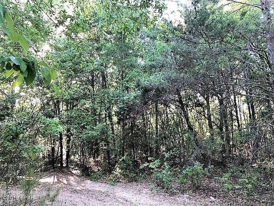 PRICE REDUCED!!       This is a 15 acre parcel of wooded land just off Hwy 231 in southern Jackson County near the Bay County line.  It has a nice mixture of native trees.  Would make a good home site or could be utilized as commercial property.
