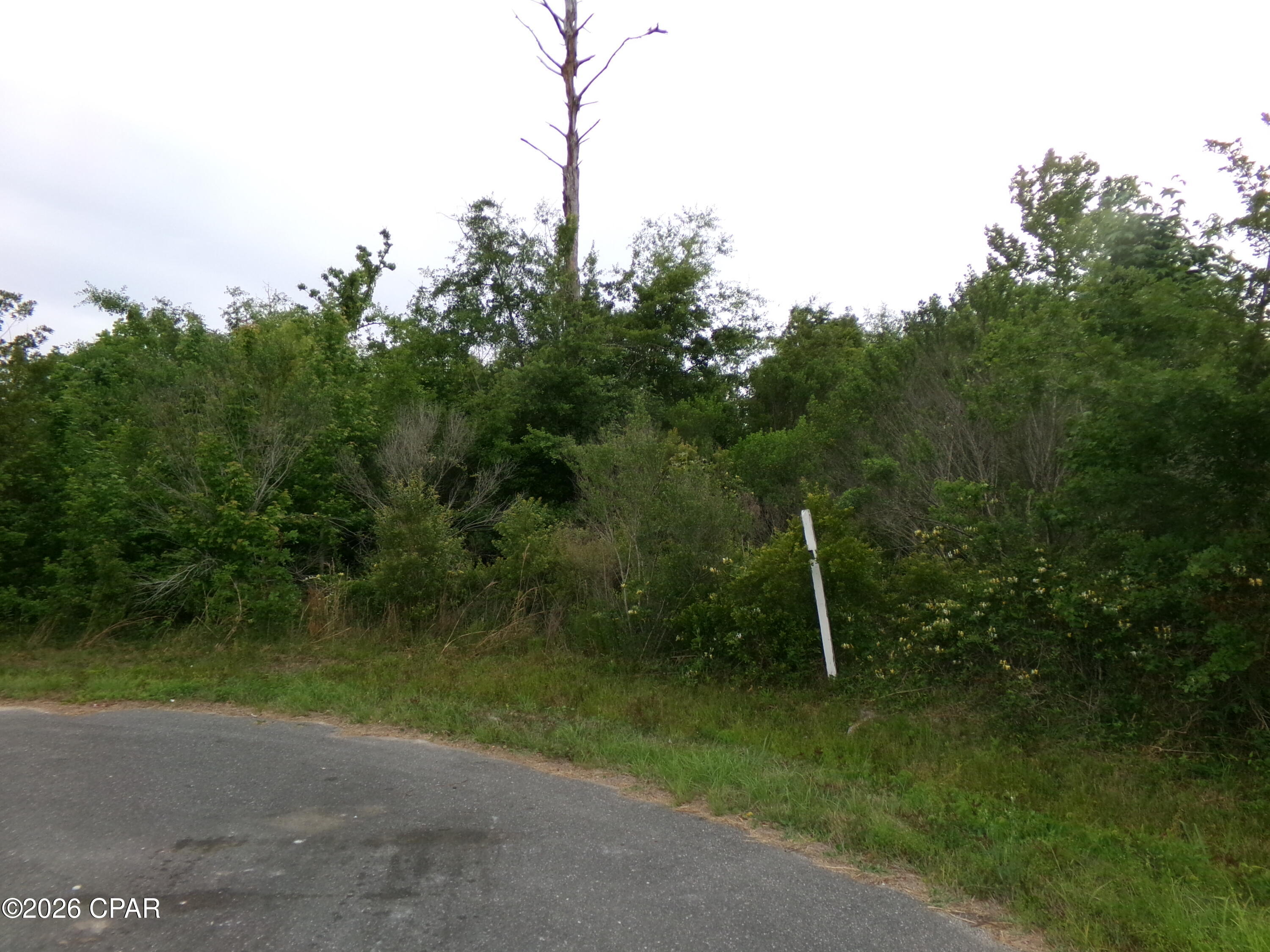 Callaway - Land