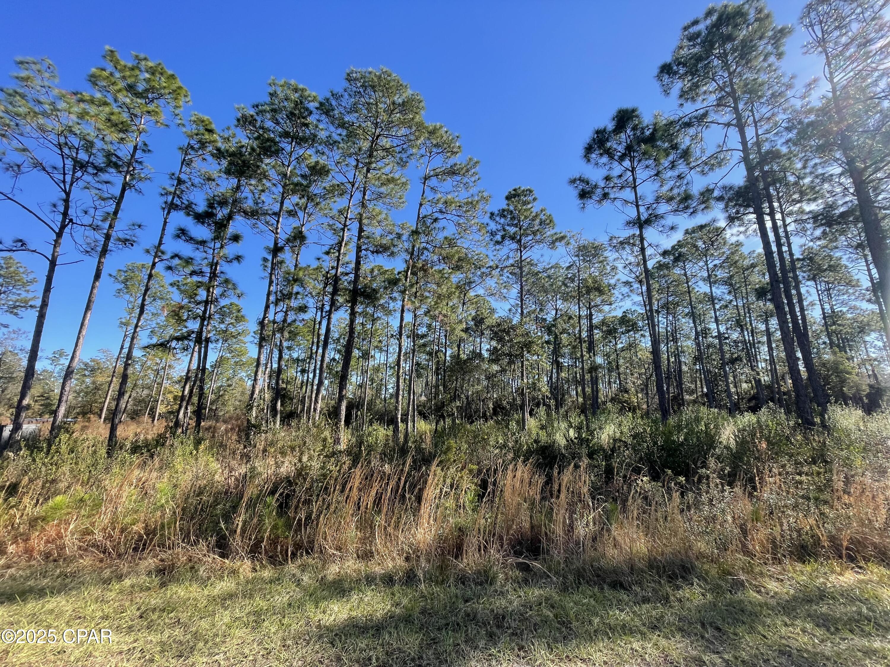 Hickory Bluff - Land