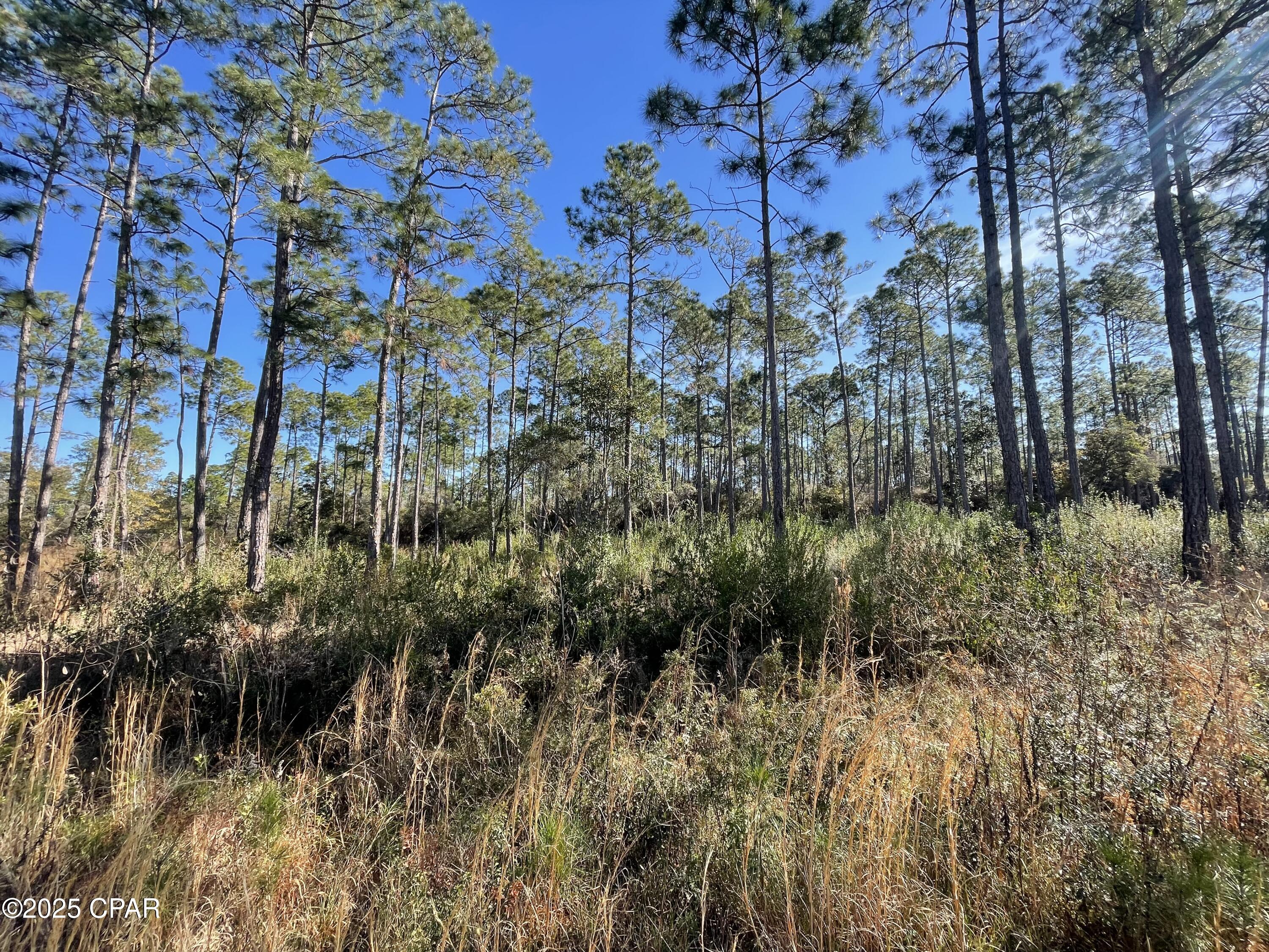 Hickory Bluff - Land