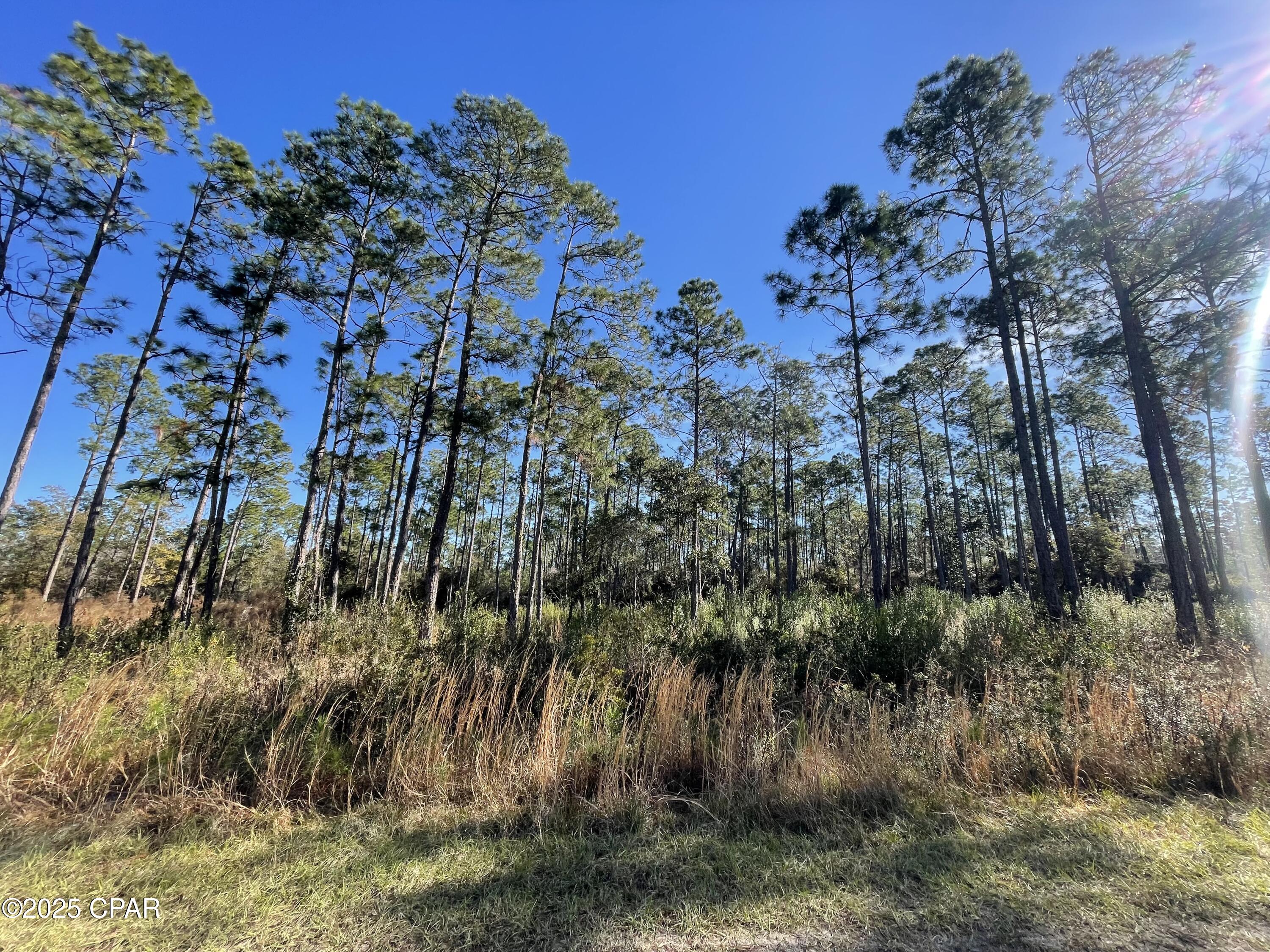 Hickory Bluff - Land