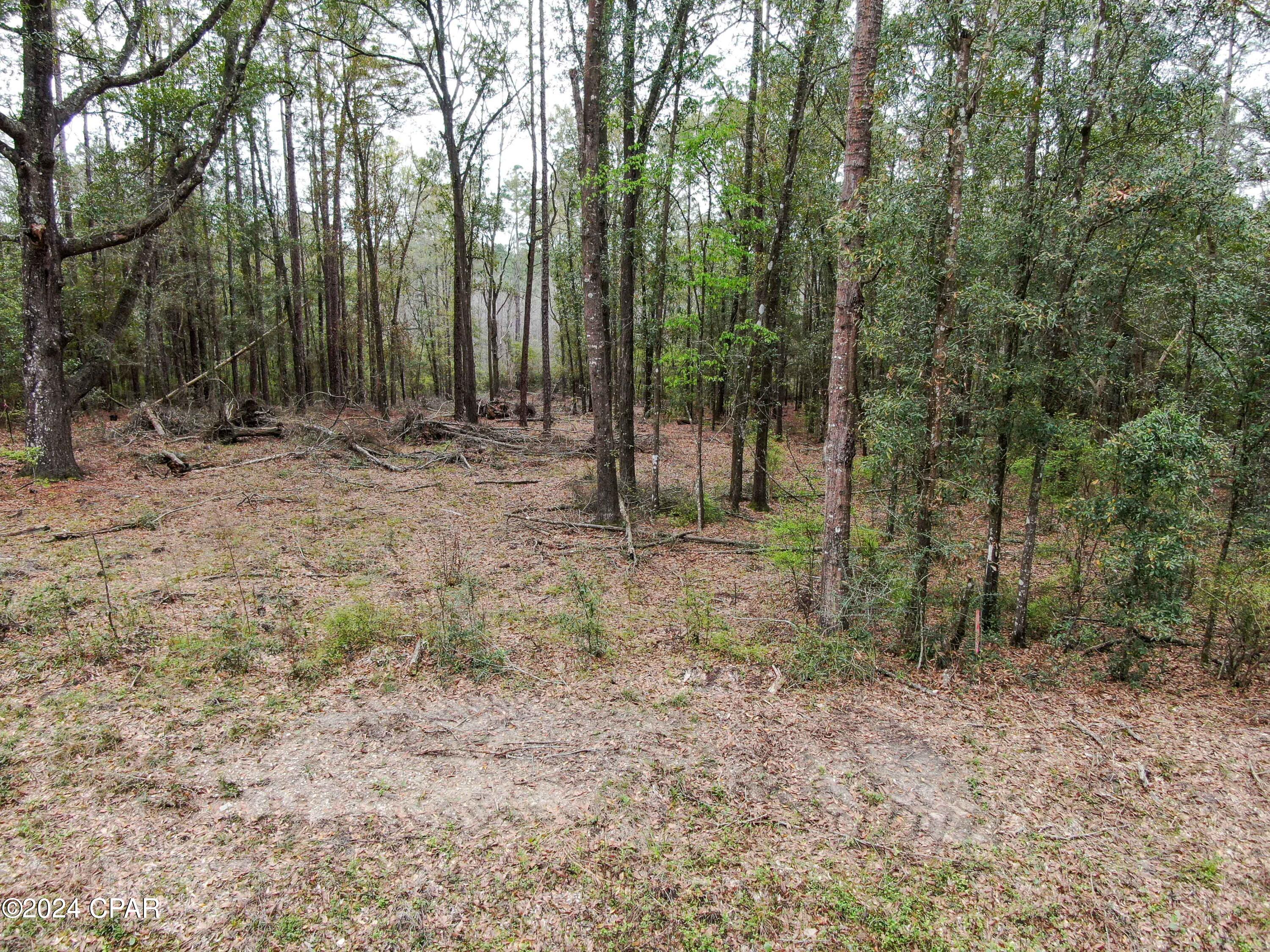 Dogwood Lake Estates - Land