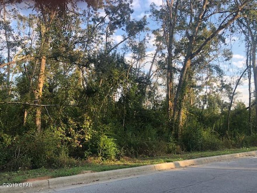 * PRICE REDUCED *  3 wooded lots in town being sold altogether.  You have city water and sewer available here.  This is a good spot to build your home in town.  They are on a paved street with easy access south to South Street and north to Lafayette Street.