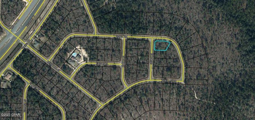 This is ONE of 4 adjoining lots.   Take advantage of this opportunity to own a piece of true Florida Landscape. This parcel has been left to its natural design with indigenous foliage. That means YOU get to decide which trees stay and which ones go. YOU get to decide where your driveway goes. YOU get to decide where your home will sit. Now YOU can turn this parcel into whatever YOU want. Maybe you are not ready to build, then that makes this land a great investment for your future. This property is only 45 min from Tyndall Air Force base, and less than 35 min to The Worlds Most Beautiful Beaches Panama City Beach Beach and Famous Pier Park Shopping. Also there are several State Parks and cool deep water springs all within an hour. One of the best parts of living in Northwest Florida is you get to experience all of the seasons with beautiful weather (and no snow to shovel). Sunny Hills is home to a golf course, Boat Lake Swim Park and a recreational park . Sunny Hills has seen recent growth overall with many builders currently building new homes in the area once again. This property has several lakes and ponds close by where you can find some of the best fishing on the planet. This property is just off highway 77.  Call today !!!!!!