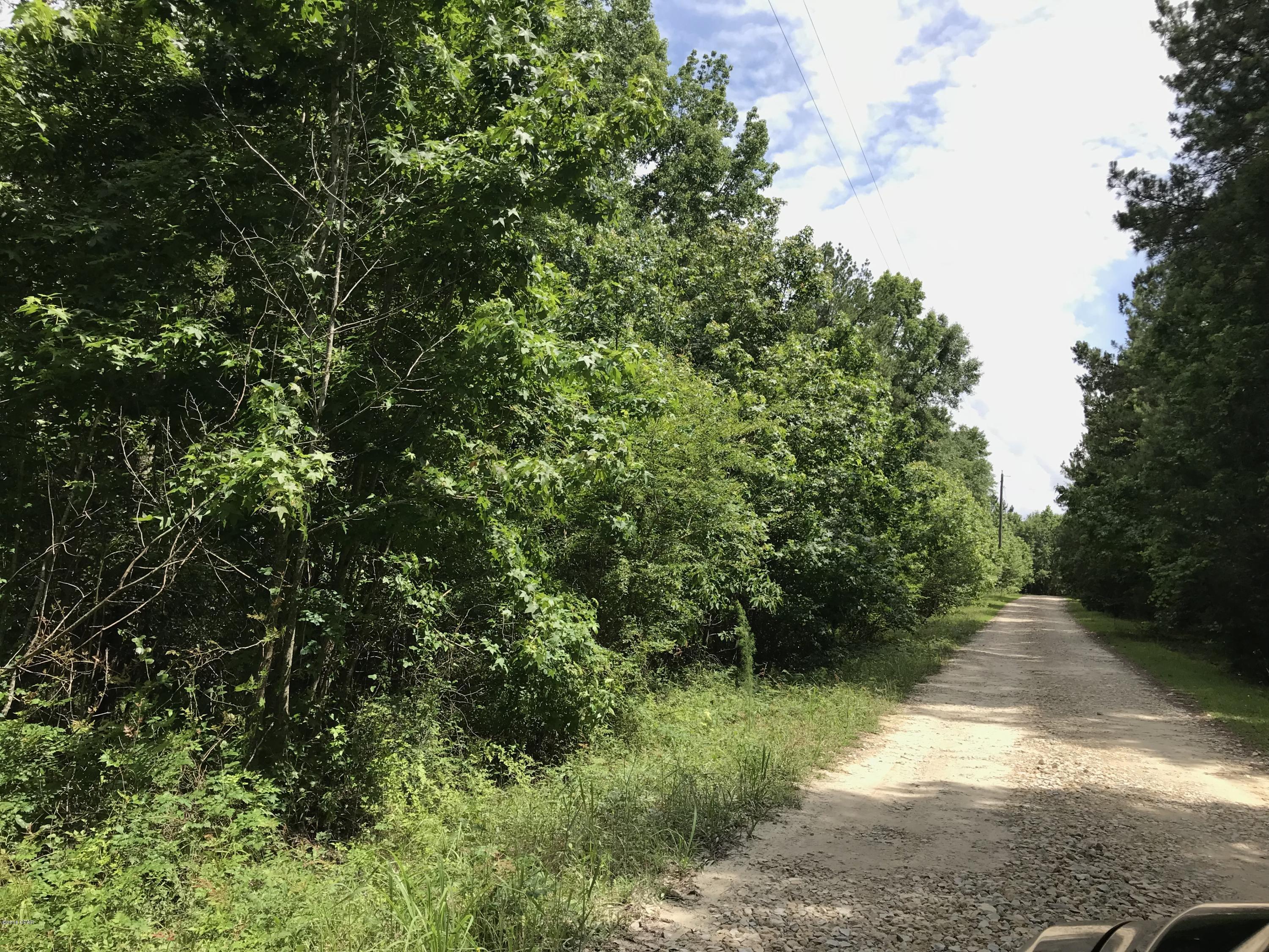 Whitetail Estates - Land