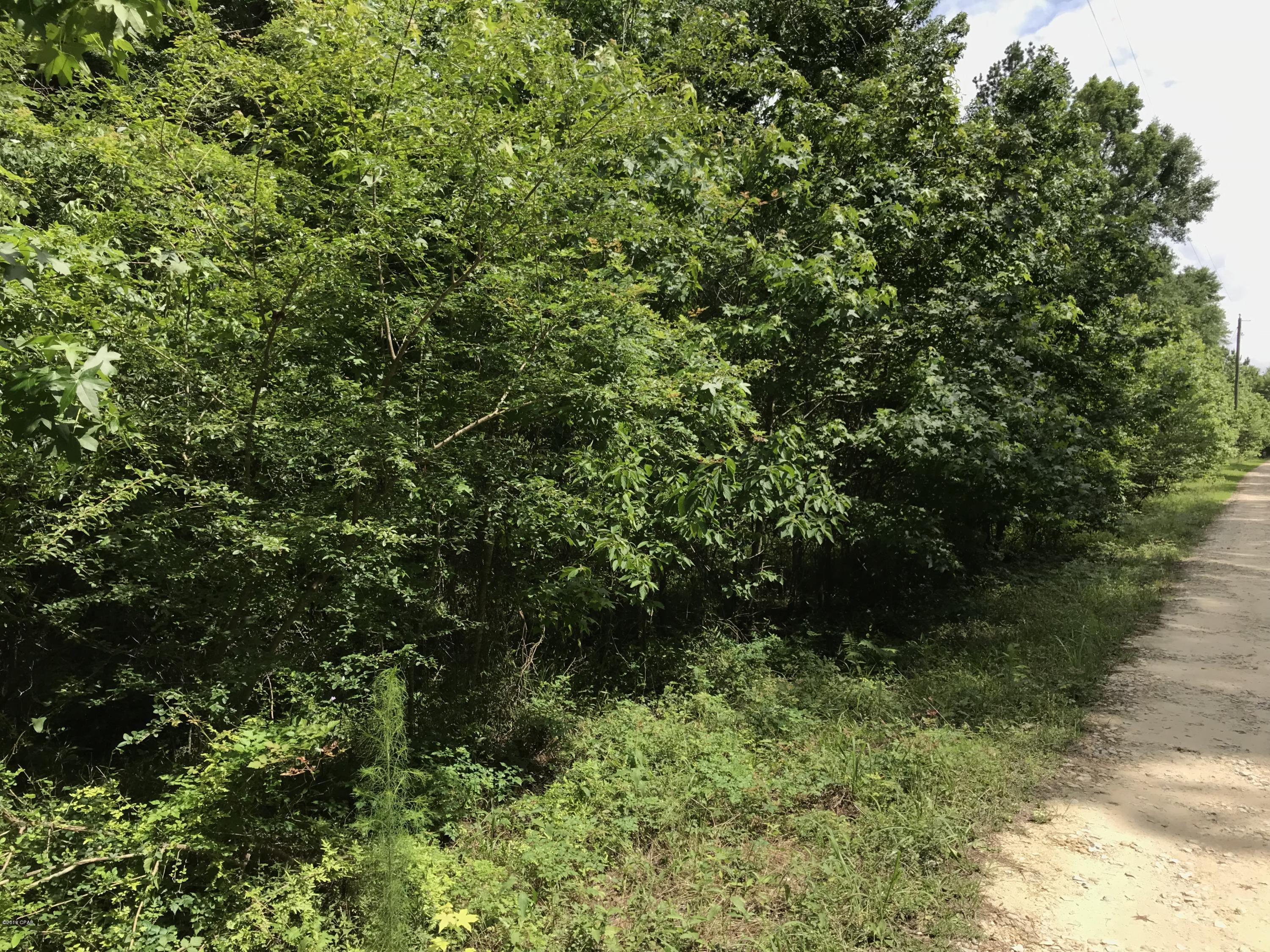 Whitetail Estates - Land