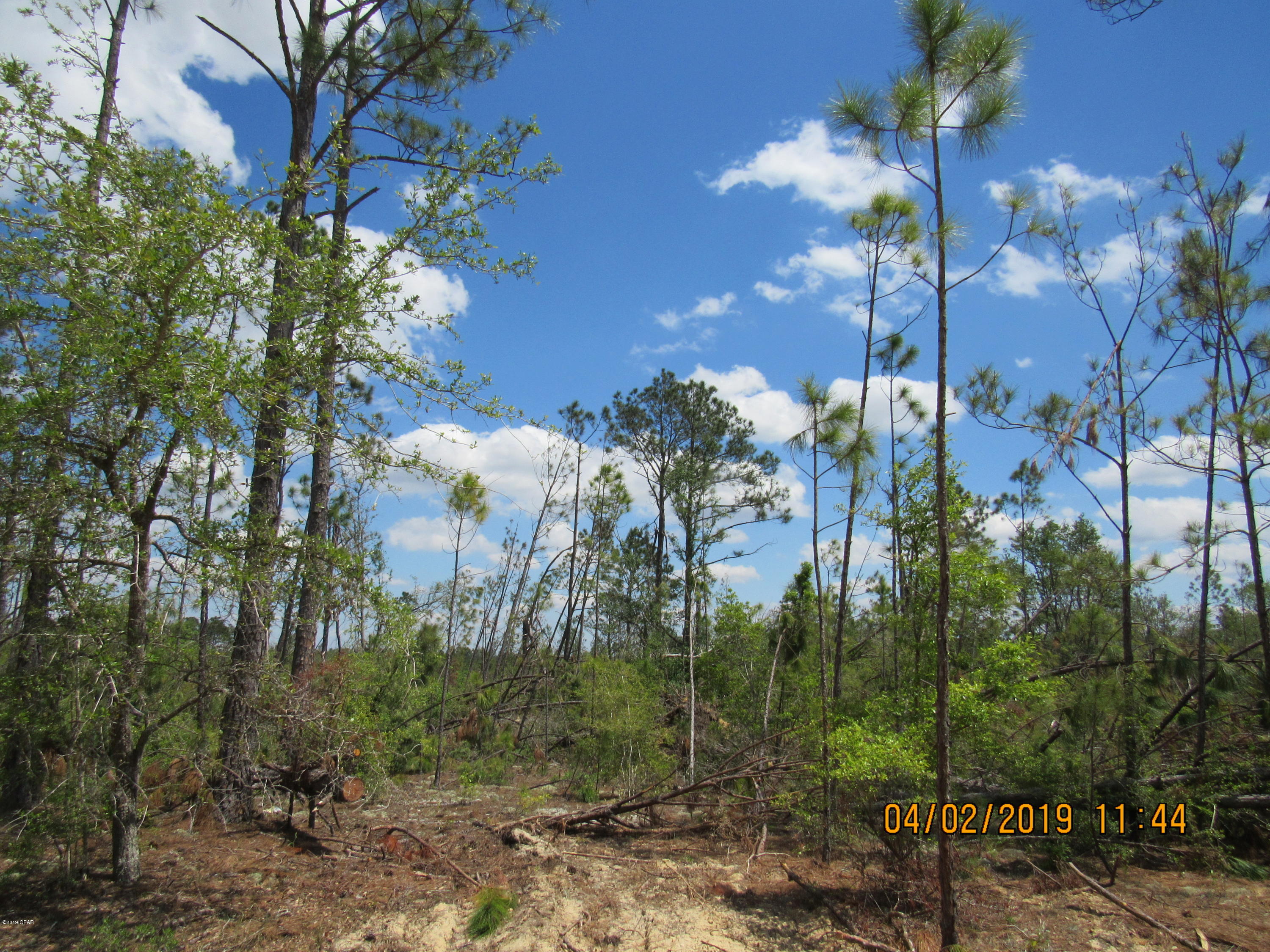 Compass Lake Hills Unit 3 - Land