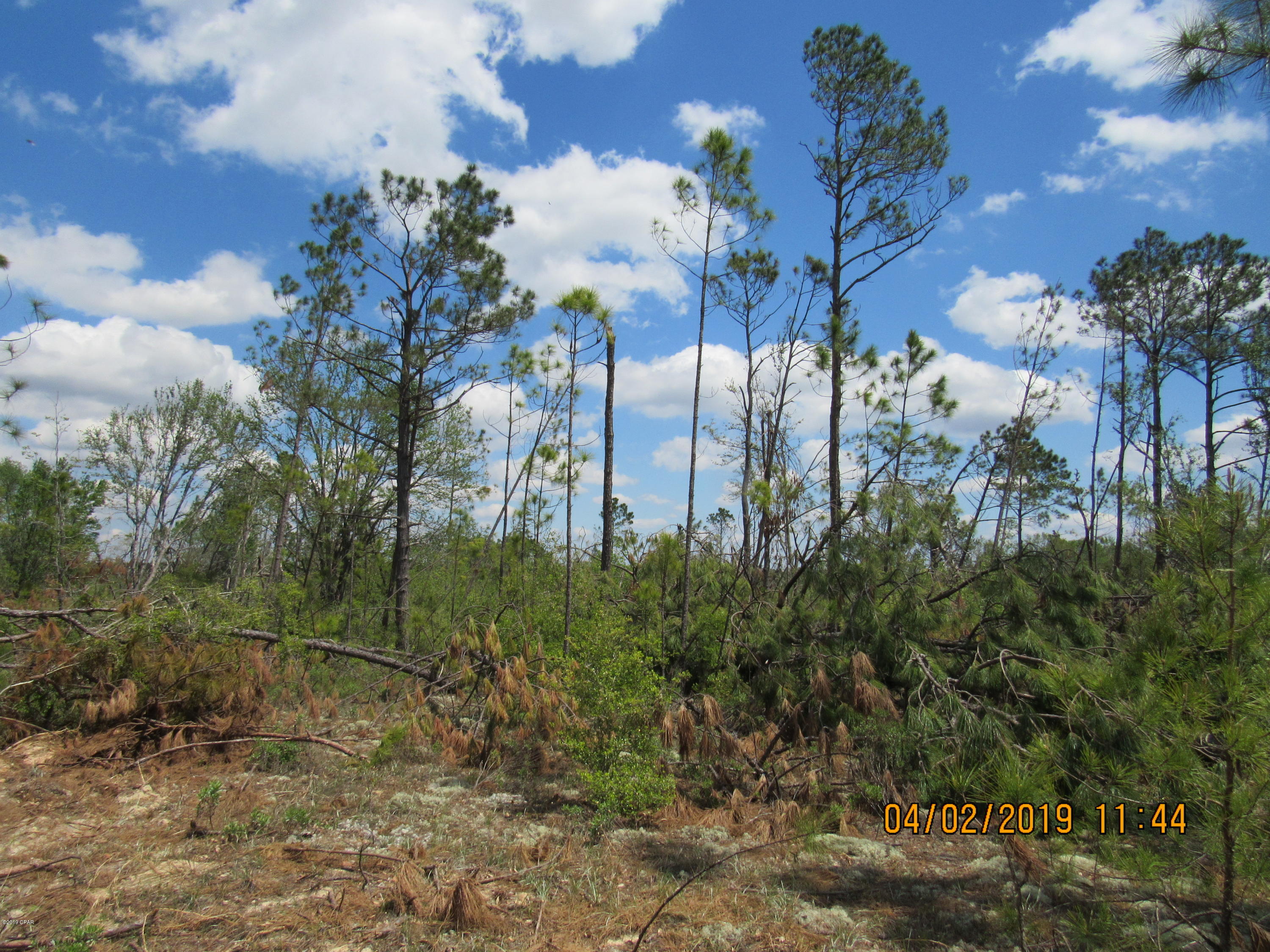 Compass Lake Hills Unit 3 - Land