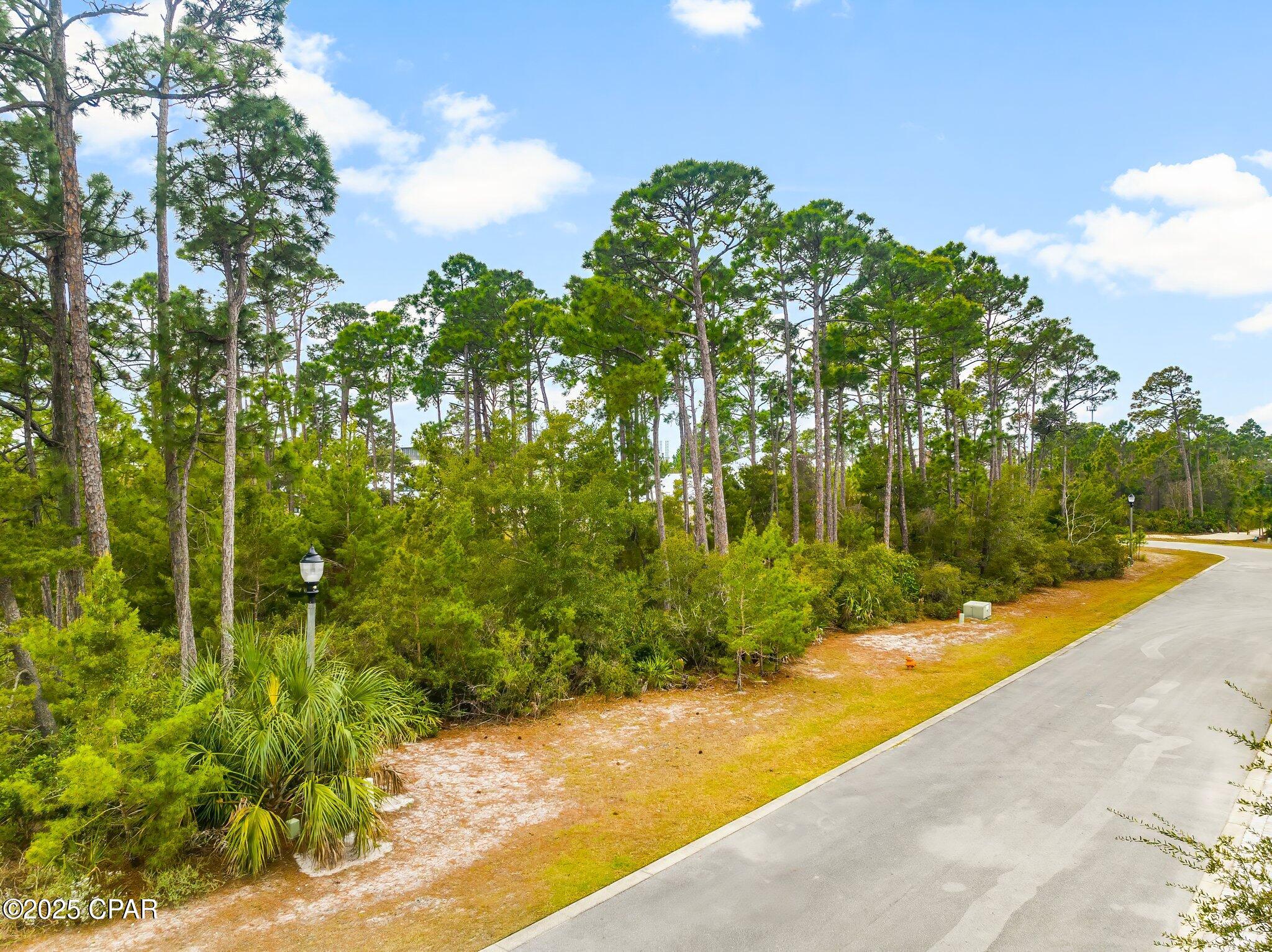 Martinique Phase III - Land