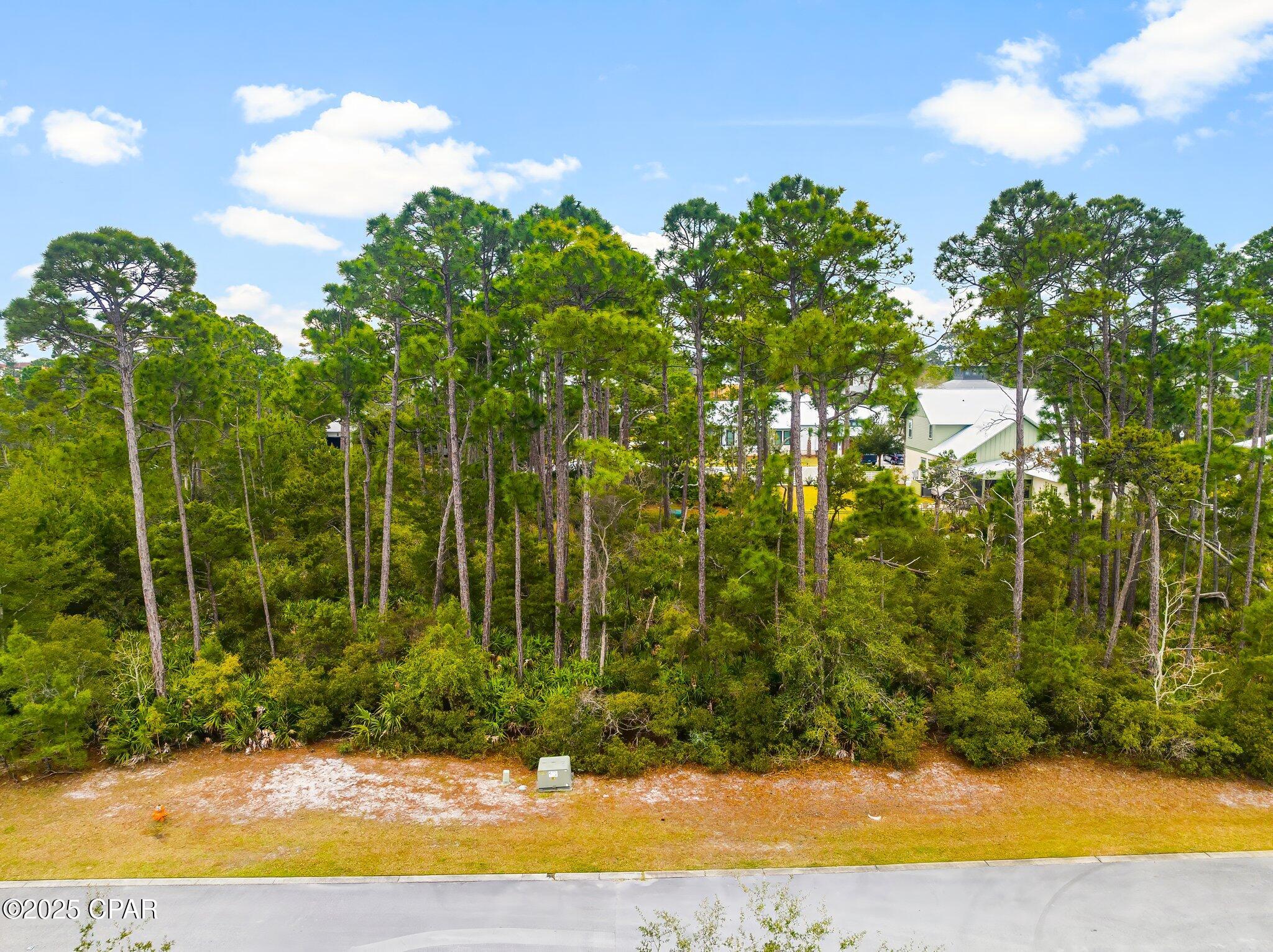 Martinique Phase III - Land