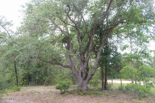 Compass Lake Hills Unit 1 - Residential