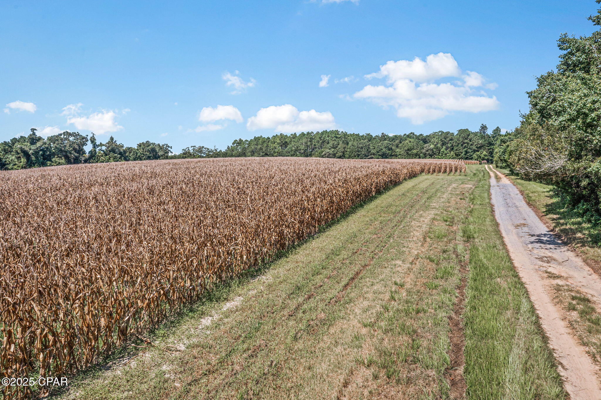 No Named Subdivision - Land