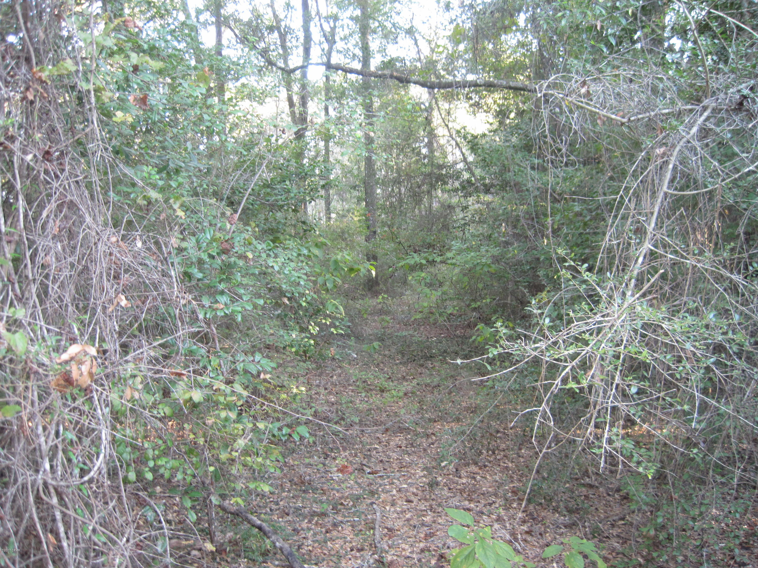 No Named Subdivision - Land