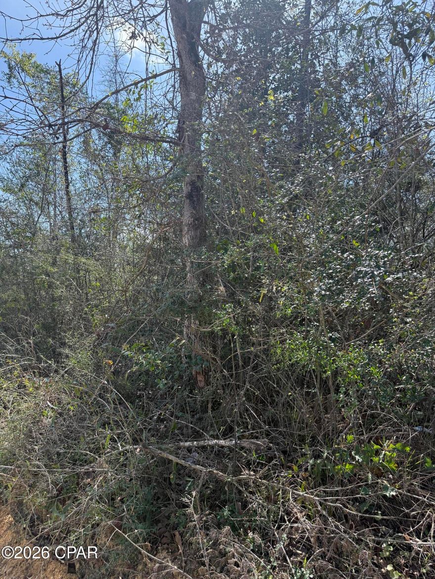 Approximately 10 Acre Parcel cut out of larger parcel so it will need a survey.  This is a nice building site for your home and garden.  Just out of town off the Kynesville Hwy.