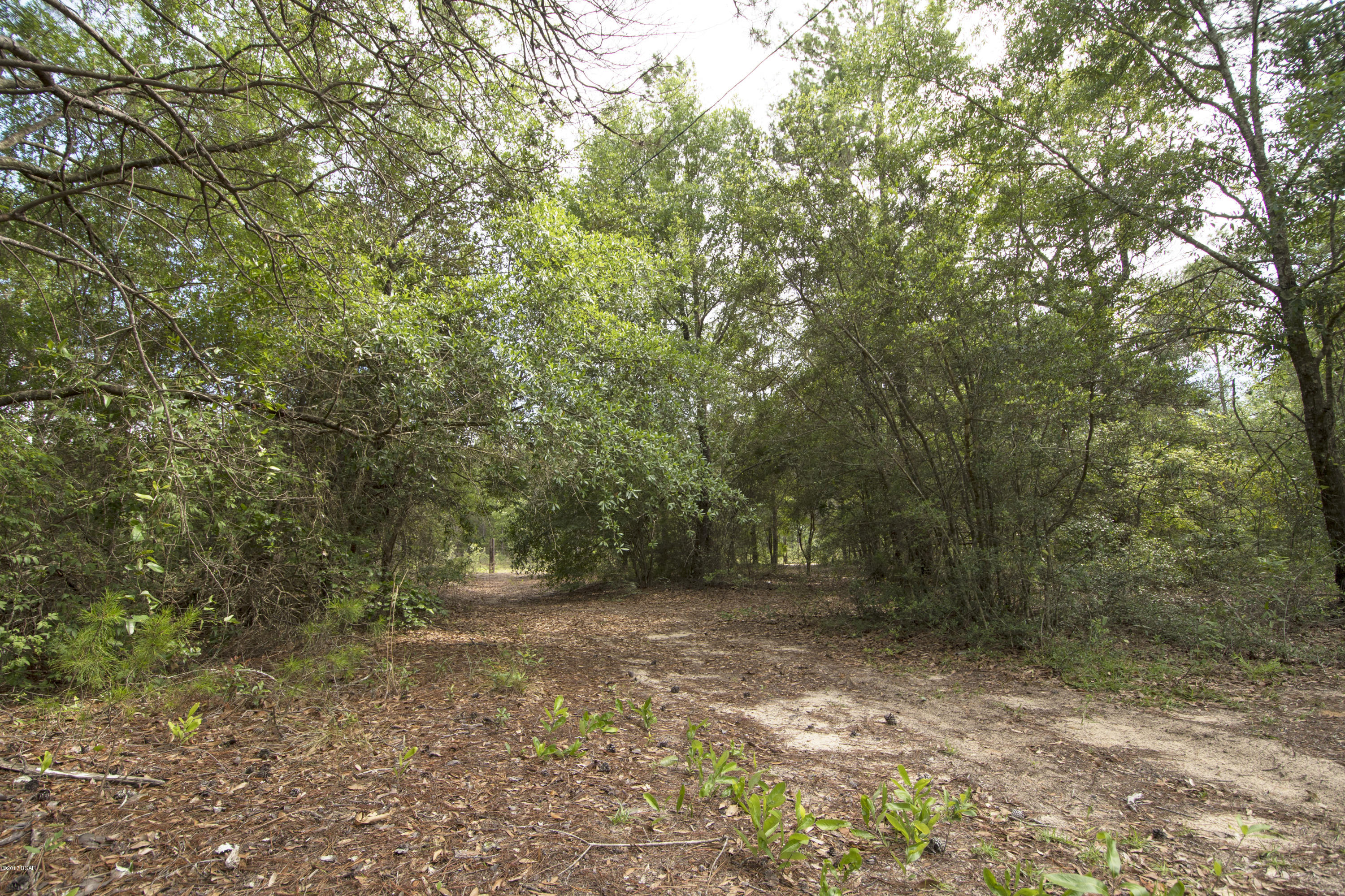 Deer Run Ranchettes - Residential