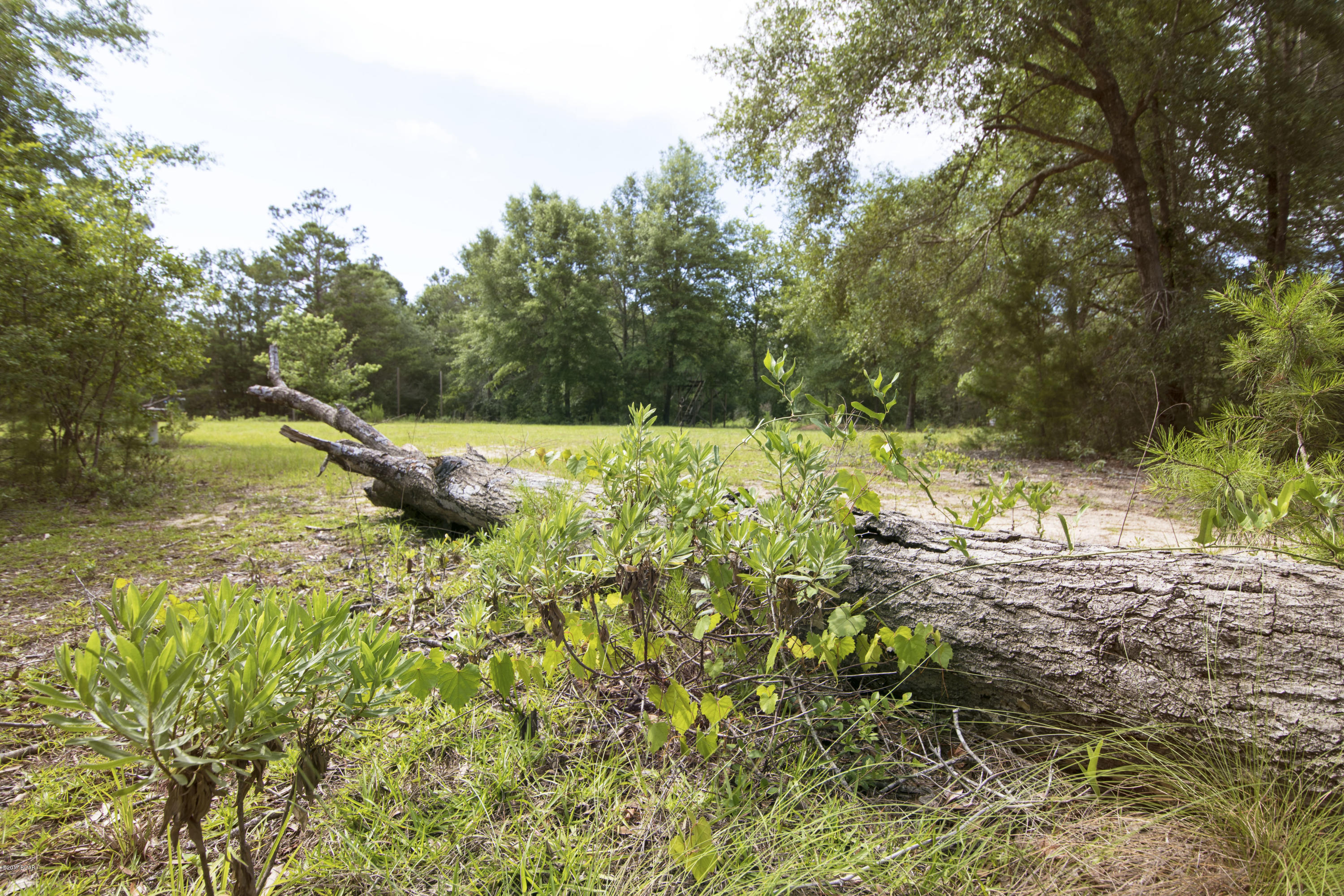 Deer Run Ranchettes - Residential