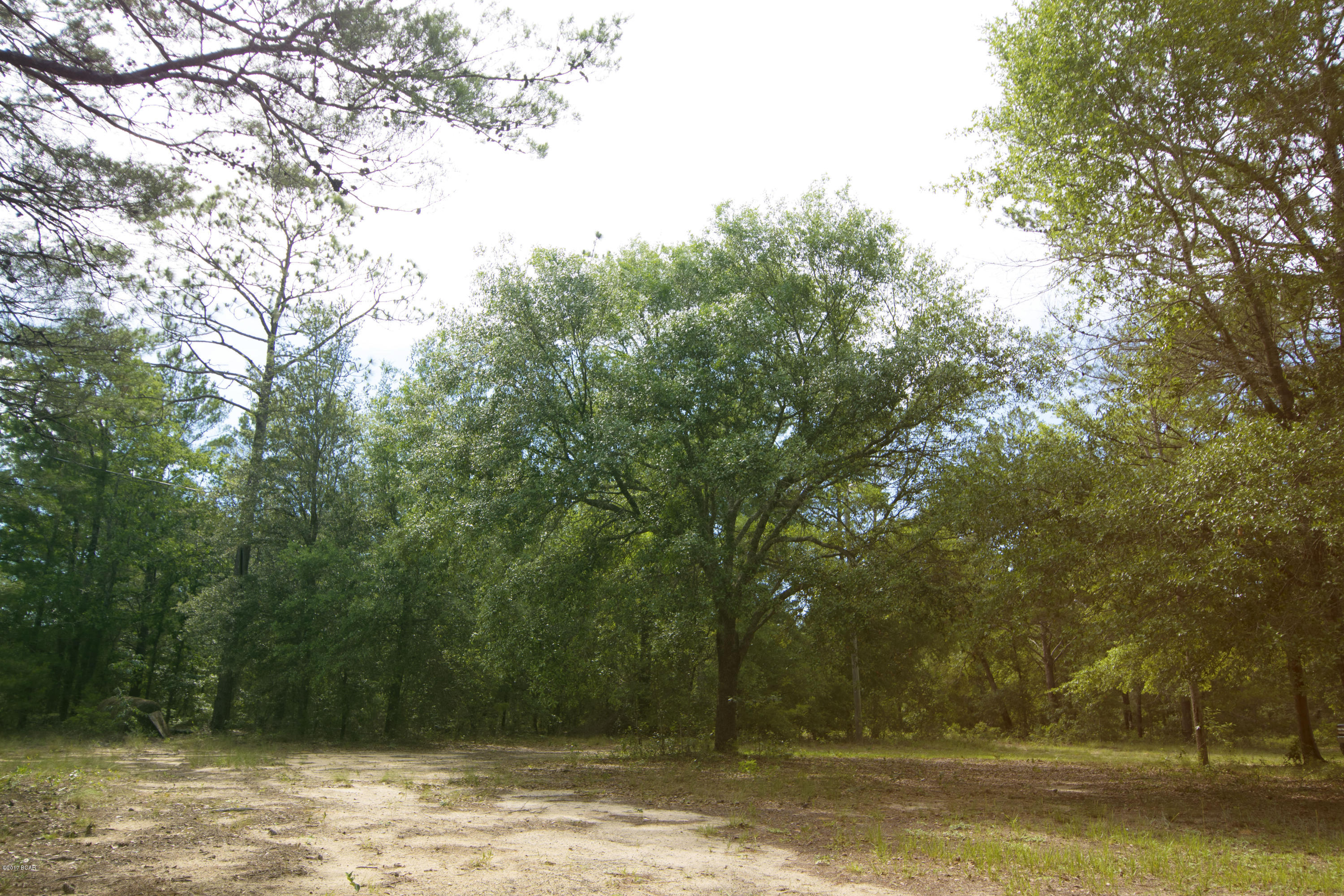 Deer Run Ranchettes - Residential