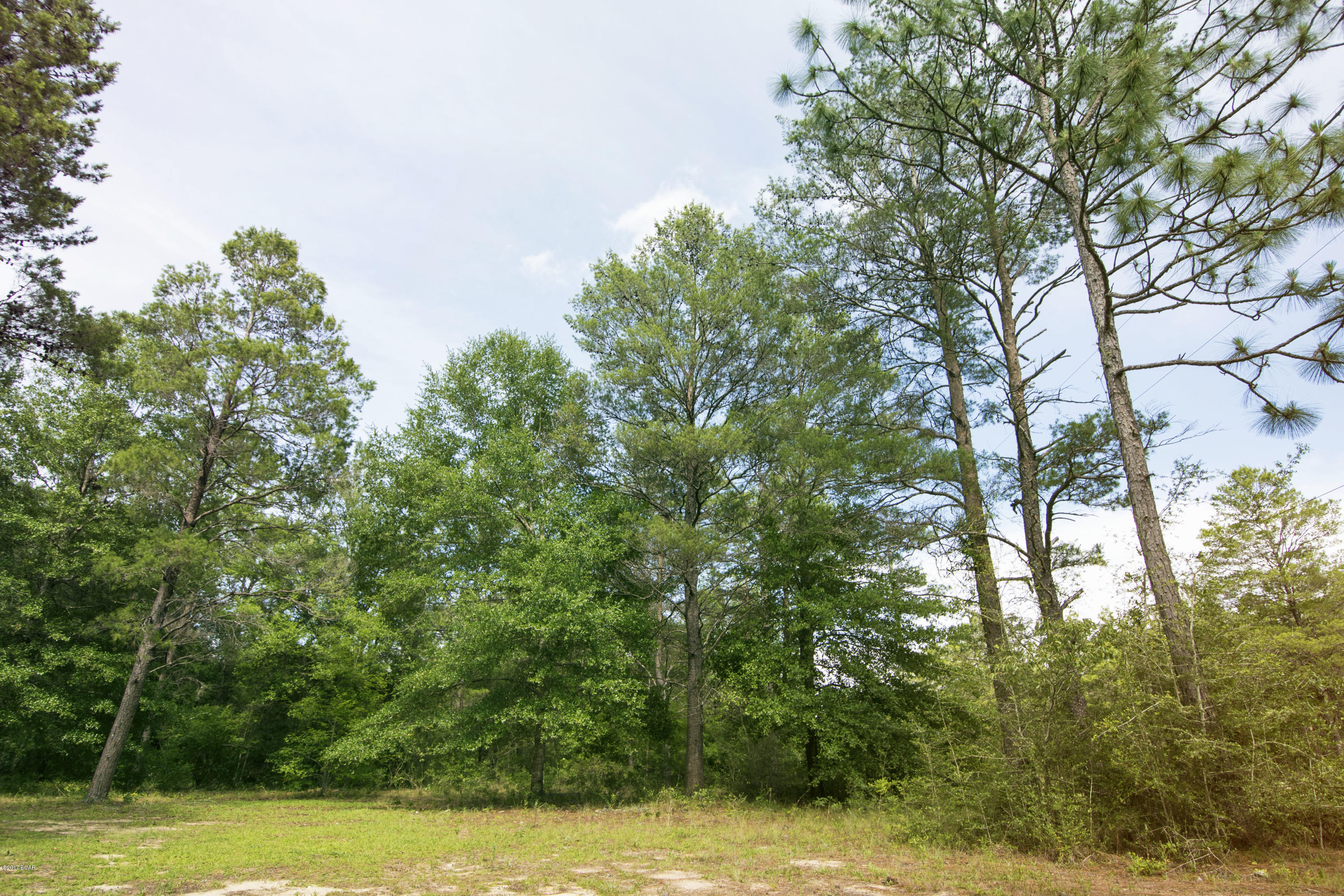 Deer Run Ranchettes - Residential