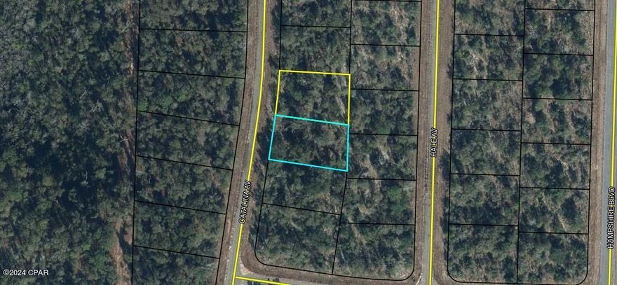 Nice, wooded building lots in Sunny Hills. There are two lots totalling .50+/- acres. Great for investment for future use. Not far from Porter Pond which has a public boat ramp, nicely shaded for picnics.  Several other fishing spots in the area. Boat Lake for paid seasonal swimming. Once you're back out on Hwy 77 straight access to Panama City to the south and Chipley, I10 to the North. Deed restrictions for site built homes only,  no mobiles.