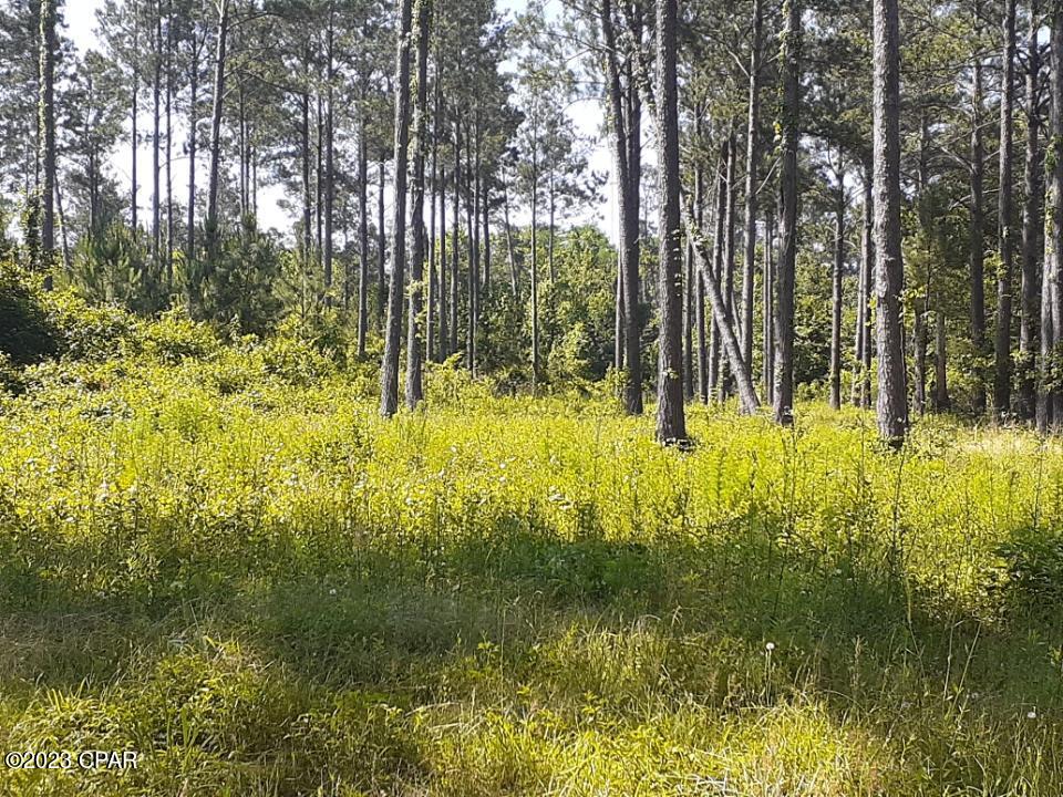 [No Recorded Subdiv] - Land