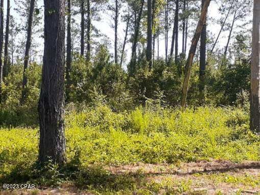 [No Recorded Subdiv] - Land