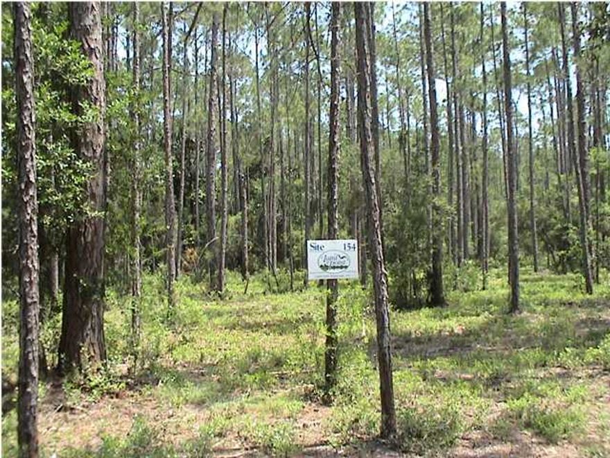 Lot 154 the Owner is ready to sell. The Seller has dropped his price on this lot to an unbelievable price for a lot in this waterfront gated community. Call today for an appointment. Laird Point stretches the length of a natural peninsula off the Intracoastal Waterway. Gated community, tennis courts. Lot dimensions are taken from the recorded plat and are approximate. Financing is available through a local bank with 10% down.