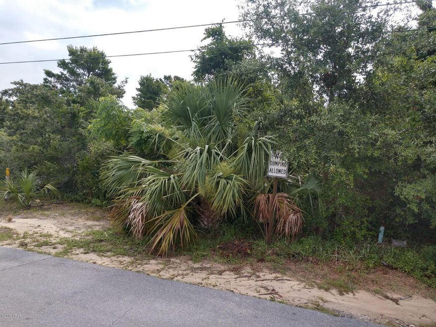 Within minutes of Worlds most beautiful beaches and every form of delight your heart desires.  Right Next to Pier Park Mall with movie theater, restaurants, gaming & so much more. 15 minutes to International airport. 150 feet from a new Lakefront Gazebo and kid park currently under construction. Survey scheduled 6/26.

Flood zone X, city water, city sewer and reclaim water available for irrigation system.