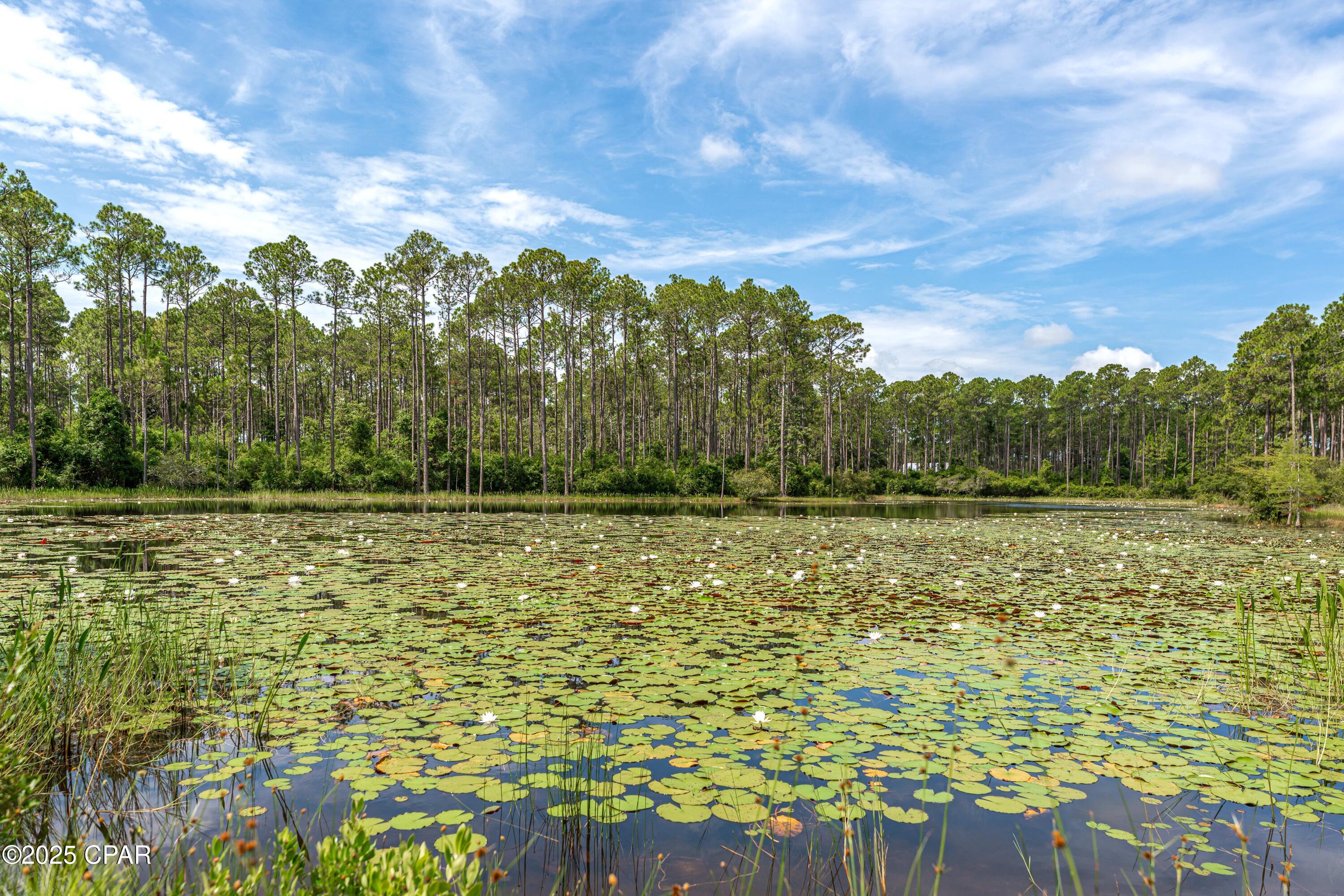 Rivercamps On Crooked Creek - Land