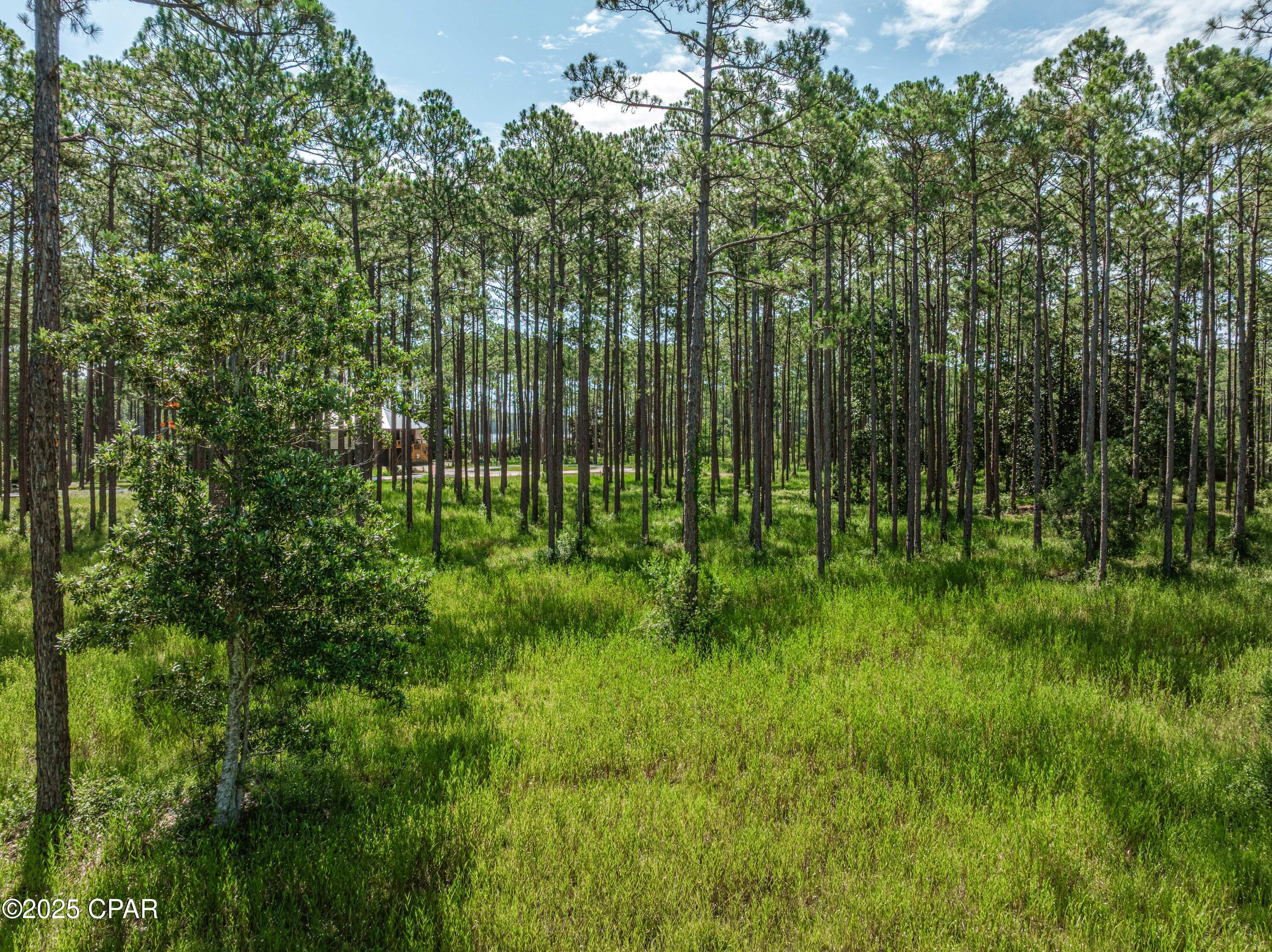 Rivercamps On Crooked Creek - Land