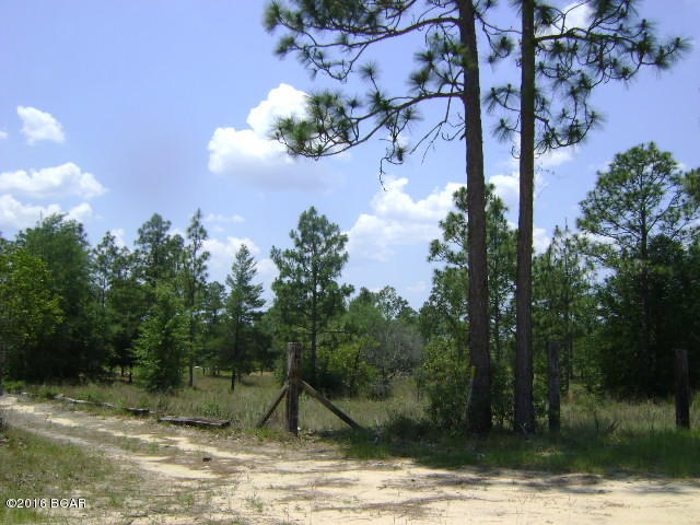 Grassy Pond Ranch - Land