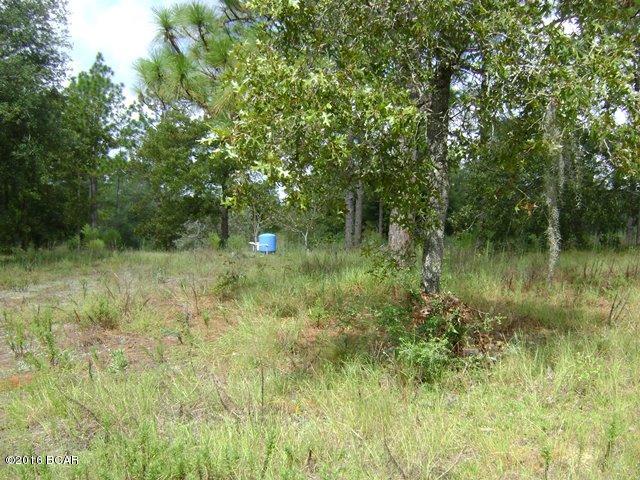 Grassy Pond Ranch - Land