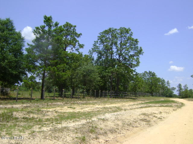 Grassy Pond Ranch - Land