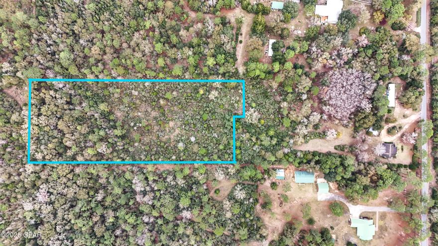 6.09 acres of raw land in Bonifay! This spacious property offers privacy and flexibility with an easement providing access to the parcels. Perfect for a future home, recreational use, or long-term investment. Parcels included are 1013.00-000-000-009.100 and 1013.00-000-000-009.200. Whether you're looking for space, freedom, or a chance to build from the ground up, this property is ready for your ideas. Come explore the potential!