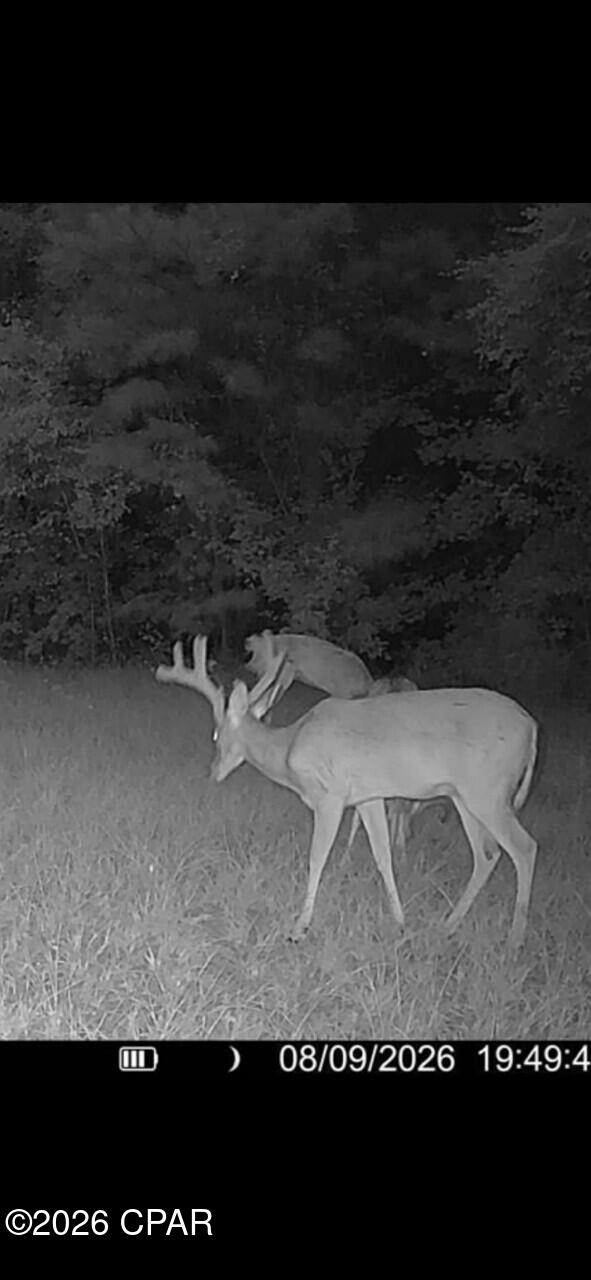 0 Poplar Springs Road
