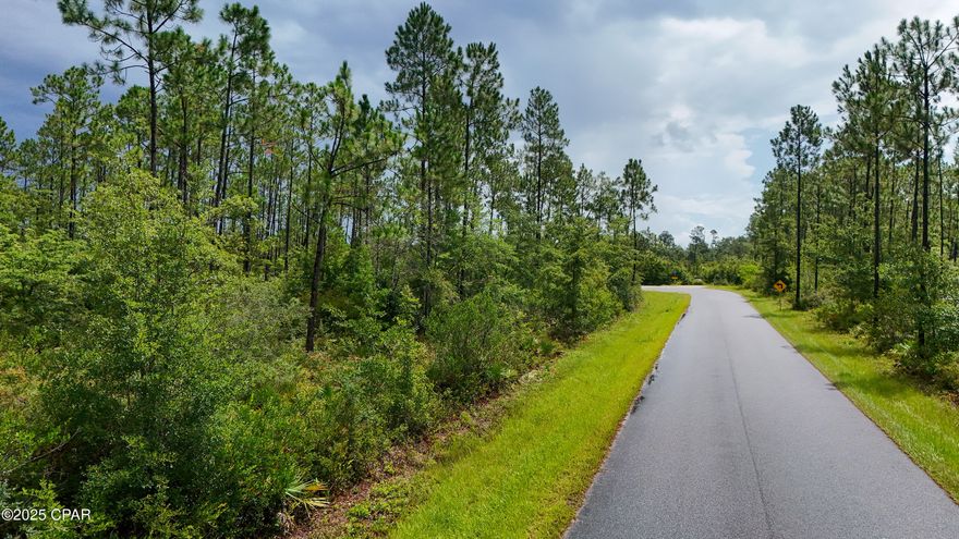 20 wooded acres tucked away on Cowels Road in Fountain, FL!  This Unique property is split in half by Cowels Road, providing ease of access and developmental potential on both sides of the parcel. This property is rich in native flora, fresh water features with Bear Creek running through the northern portion of the property.  This property is densely wooded and provides ample shade and diverse vegetation for local wildlife.