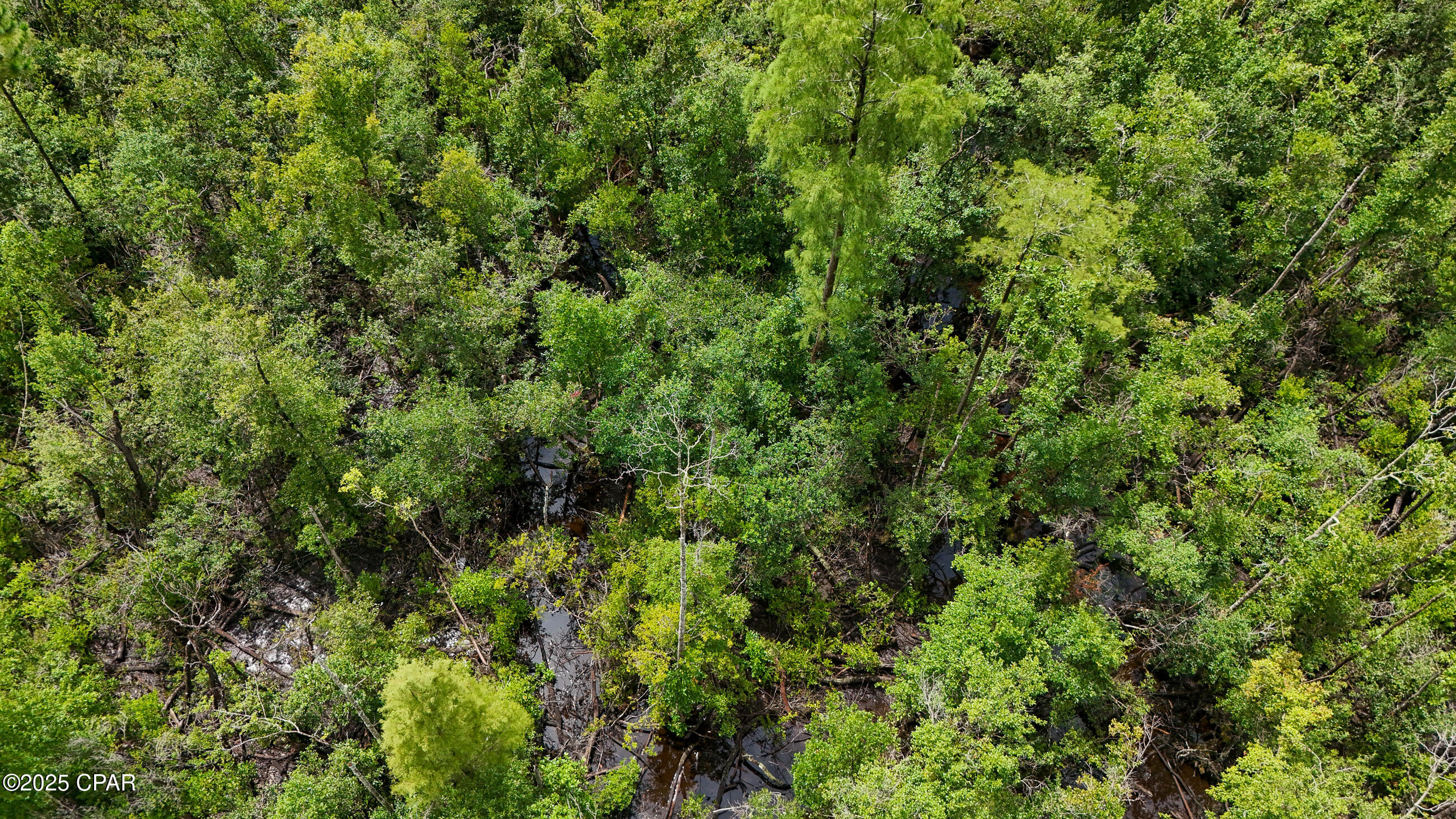 Fountain Replat - Land