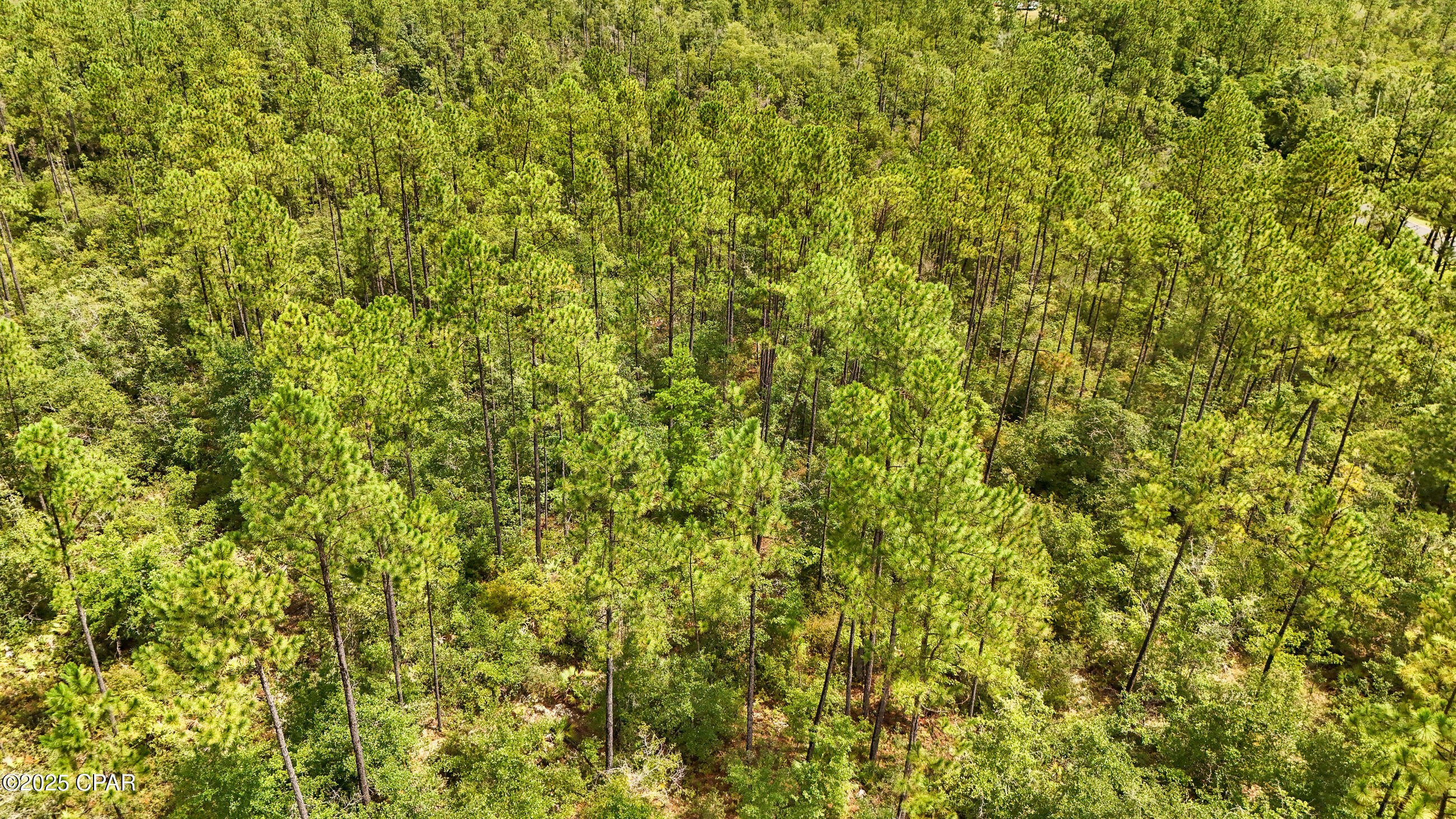 Fountain Replat - Land
