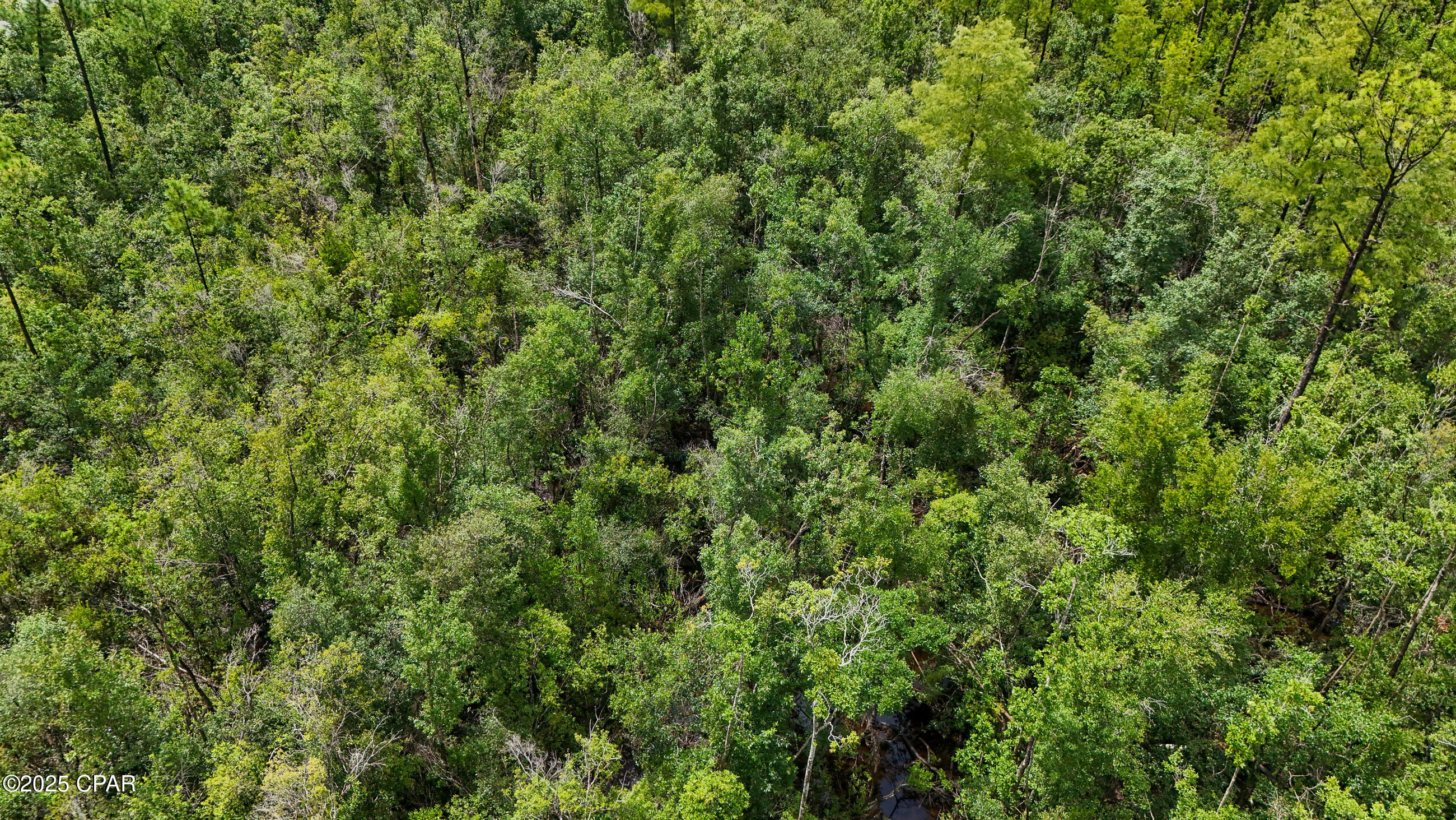 Fountain Replat - Land