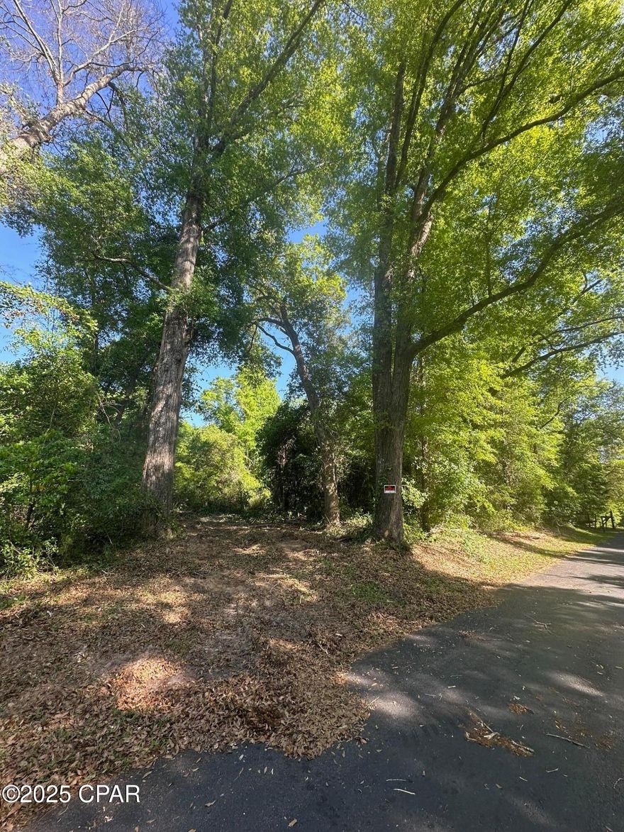 Located in the heart of Greenwood, this property has a ton of potential.   10 acres with some pre platted lots.  There is an 8' City water line on Smith street, just down from Marcus Drive for water access to property as per the City.  Mobile homes or homes are allowed.   Newly cleared assess point for viewing that travels through the property.  Tennis courts and park within walking distance.  This property is the West side of the parent parcel.  Seller financing available!! Call today for your appointment!!