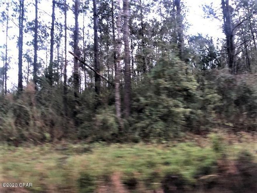 Lovely wooded 2 acre tract of land.  Would make a great home site for stick built home or a mobile home.  The property has a mixture of native trees.

The location is just south of Cottondale with easy access to Hwy 231 for traveling south to Panama City.  Marianna is to the  northeast just a few miles for shopping.