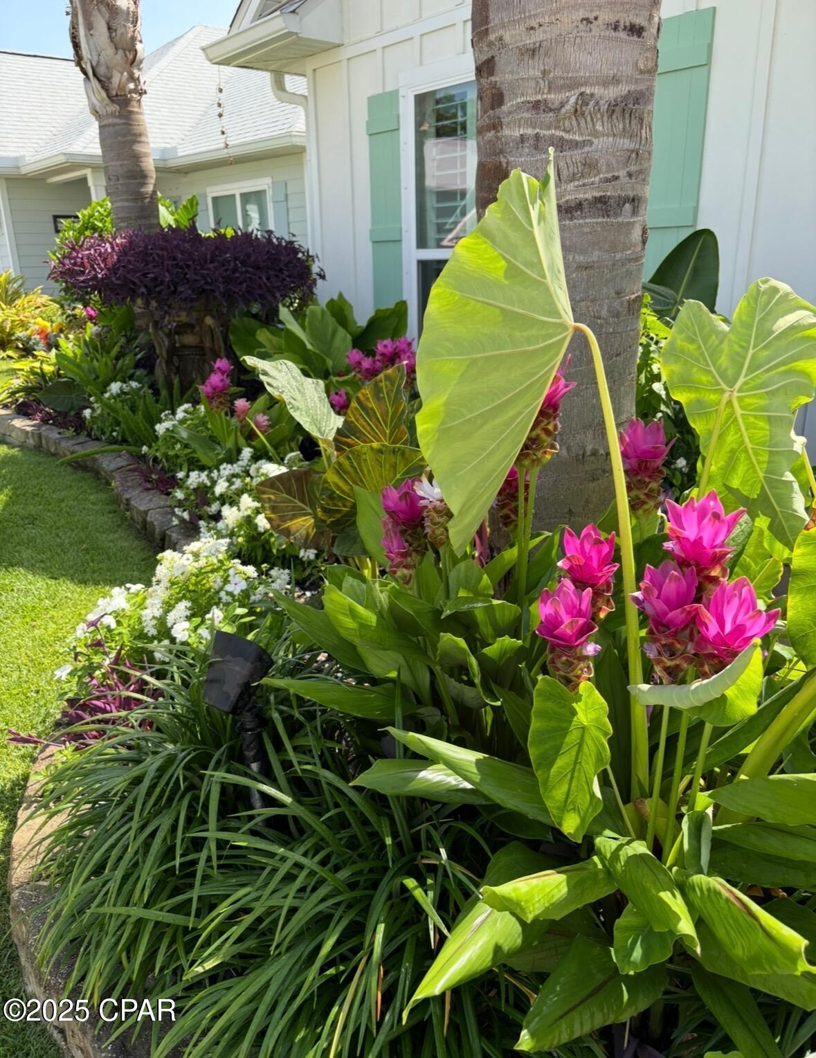 Moonraker - Residential