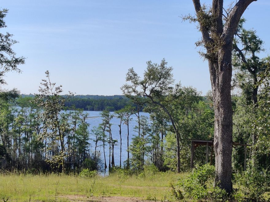 This is what you have been looking for. Just over 2 rural acres to get away from it all. Not in a flood zone and allows Mobile homes! Property is near compass lake in the hills. You may be allowed to be a part of ''Compass Lakes in the Hills for $135 a year. This allows you amazing amenities which include the private McCormick Lake clubhouse, pavilions,beach, dock, and picnic area.

There is also Compass Lake itself, a pool,driving range,and disk golf. Please look at their website for a better view. This must be verified with compass lakes HOA