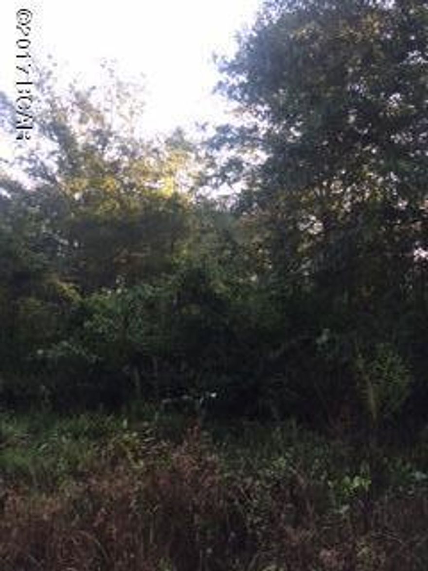 Looking for country living?  This is it! This 1.19 acre piece of property would be the perfect place to build your new home on or even put a mobile home on. It is home to a variety of trees.  Call for your showing today.