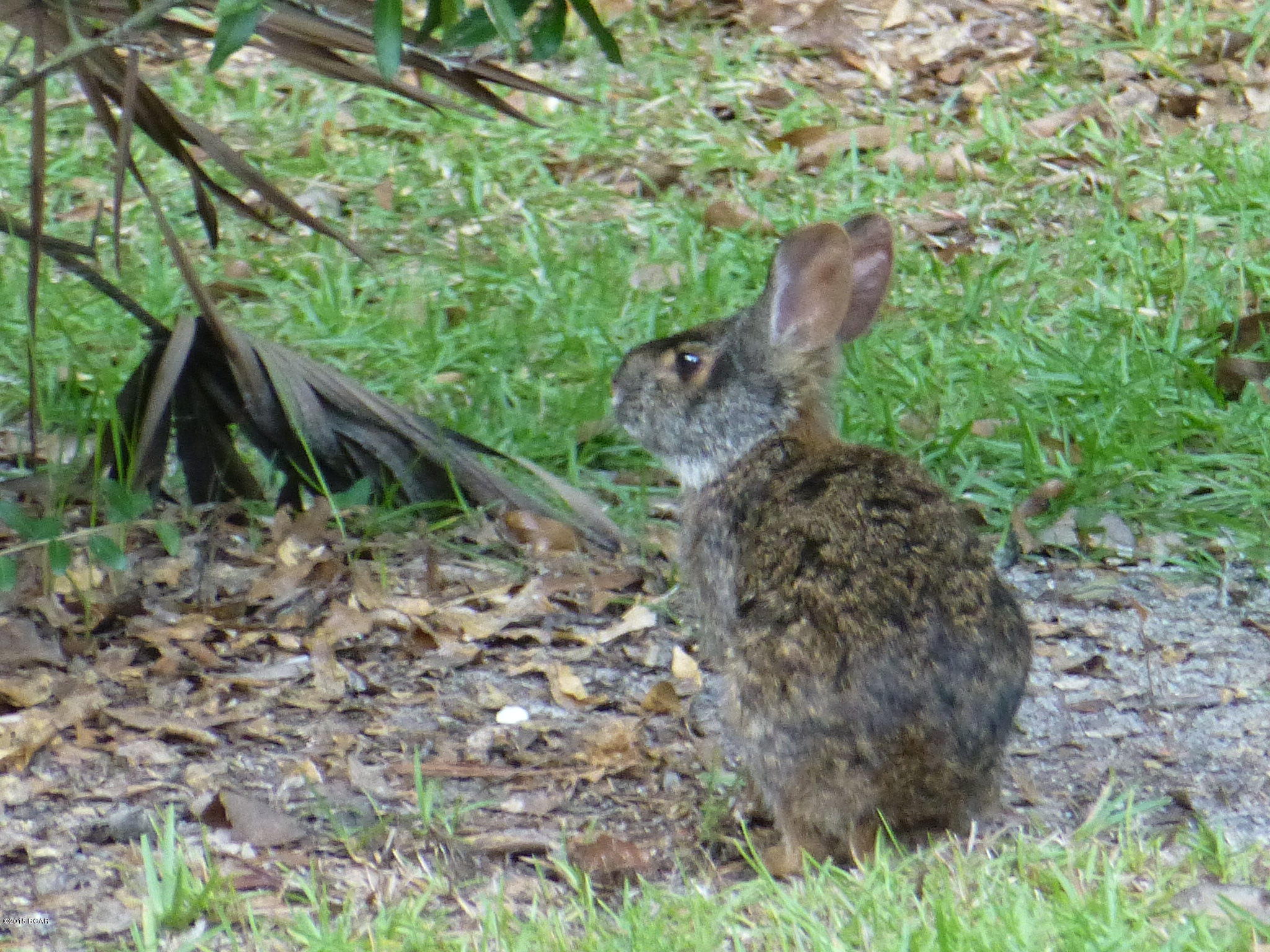 Cooks Bayou Est - Residential